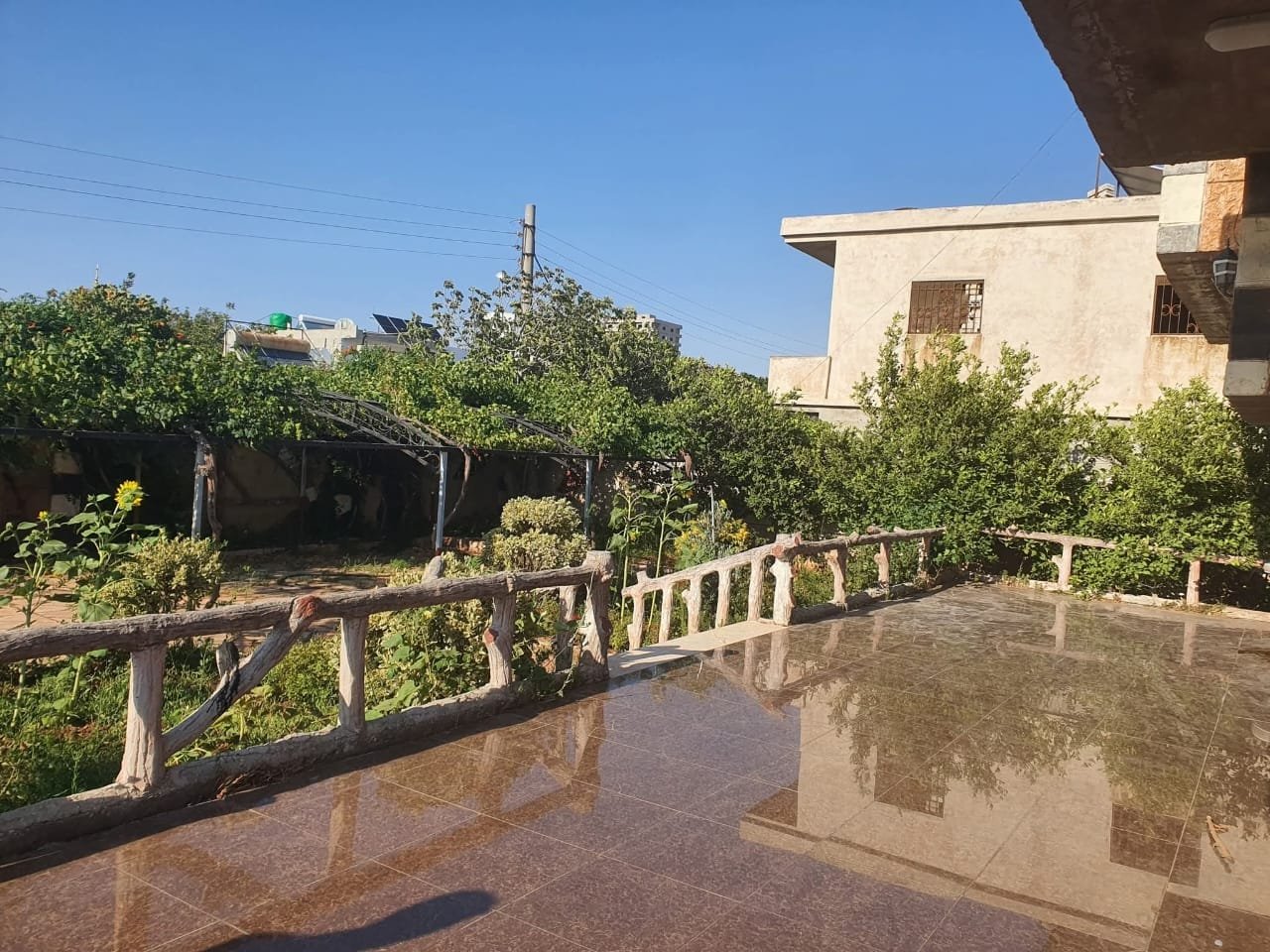 ملاذ الفخامة والطبيعة.. مزرعة استثنائية بمساحة 200 دونم في الوعر – حمص